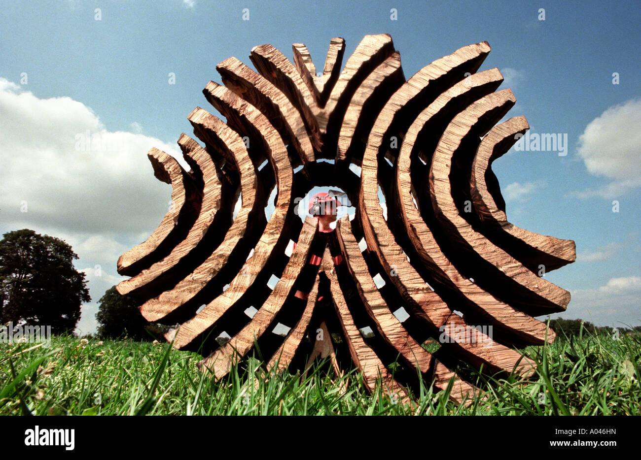 Legno riciclato da un albero uccisi dalla malattia dell'olmo olandese si è trasformato in scultura dell'artista con chainsaw. Foto Stock