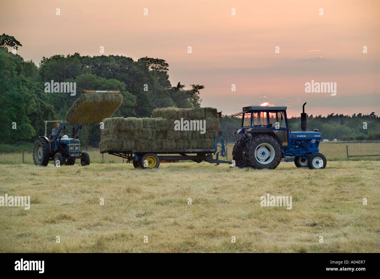 Il carico del trattore bail di fieno su a rimorchio al tramonto Foto Stock