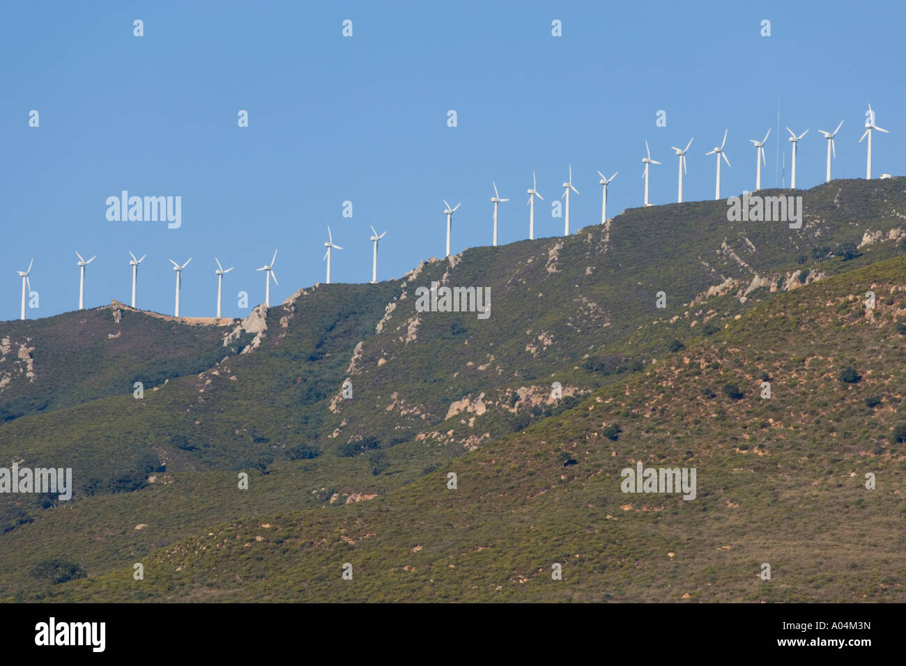 Mulini a vento sulla collina alle spalle di Tarifa la provincia di Cadiz Cadice Andalusia Spagna Foto Stock