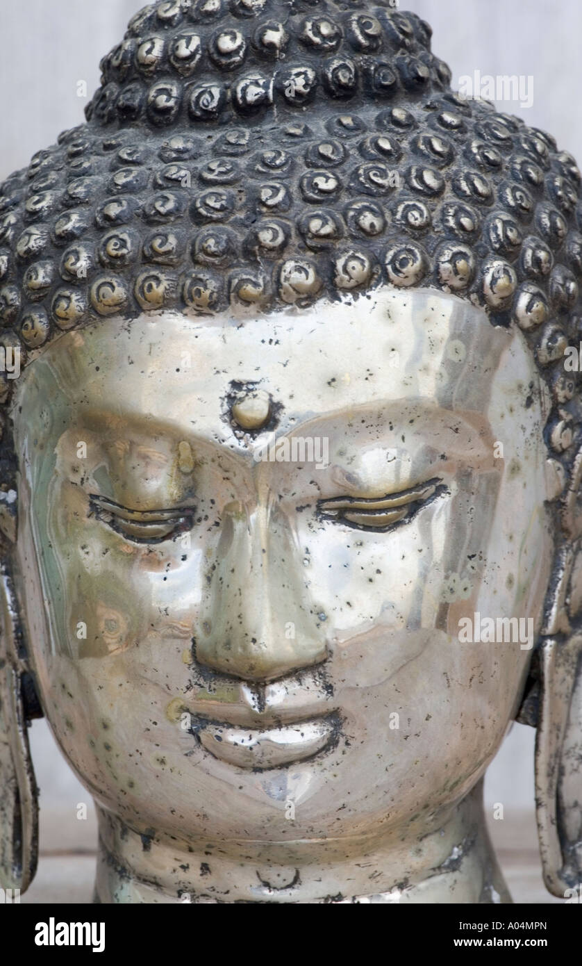 Testa di Buddha Foto Stock