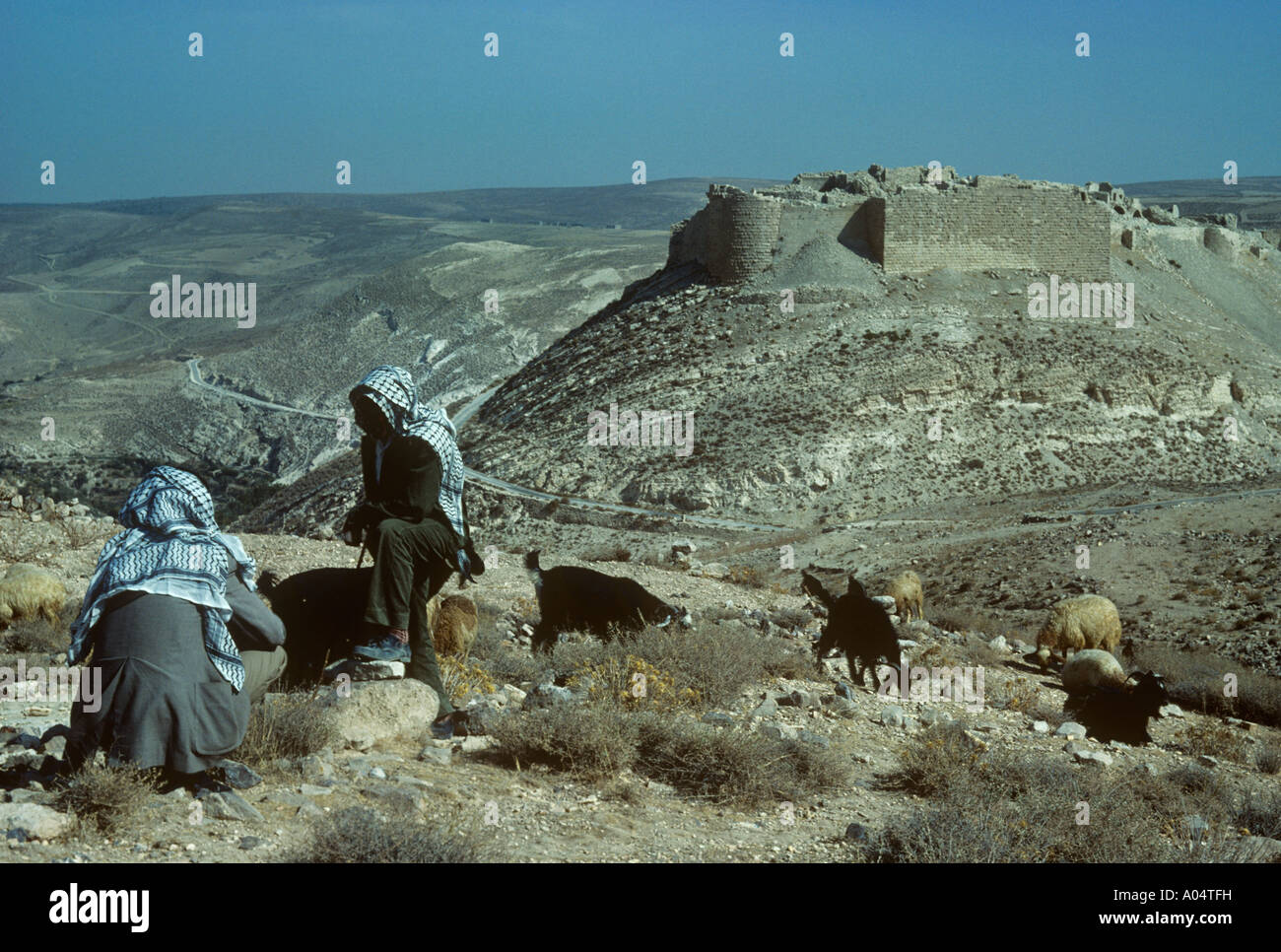 Krak de Monreal, castello crociato in Giordania con pastori arabi e capre Foto Stock