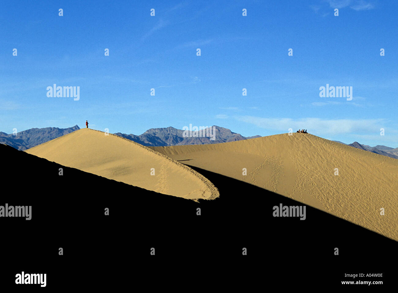 Le dune di sabbia nel Parco Nazionale della Valle della Morte, California Foto Stock