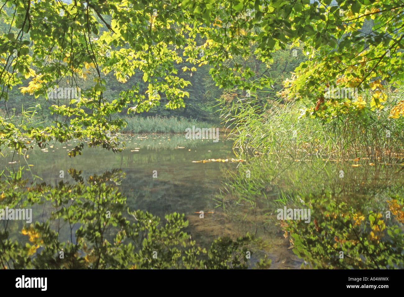 Romantico laghetto presso il Giardino Inglese di castello Matzen Foto Stock
