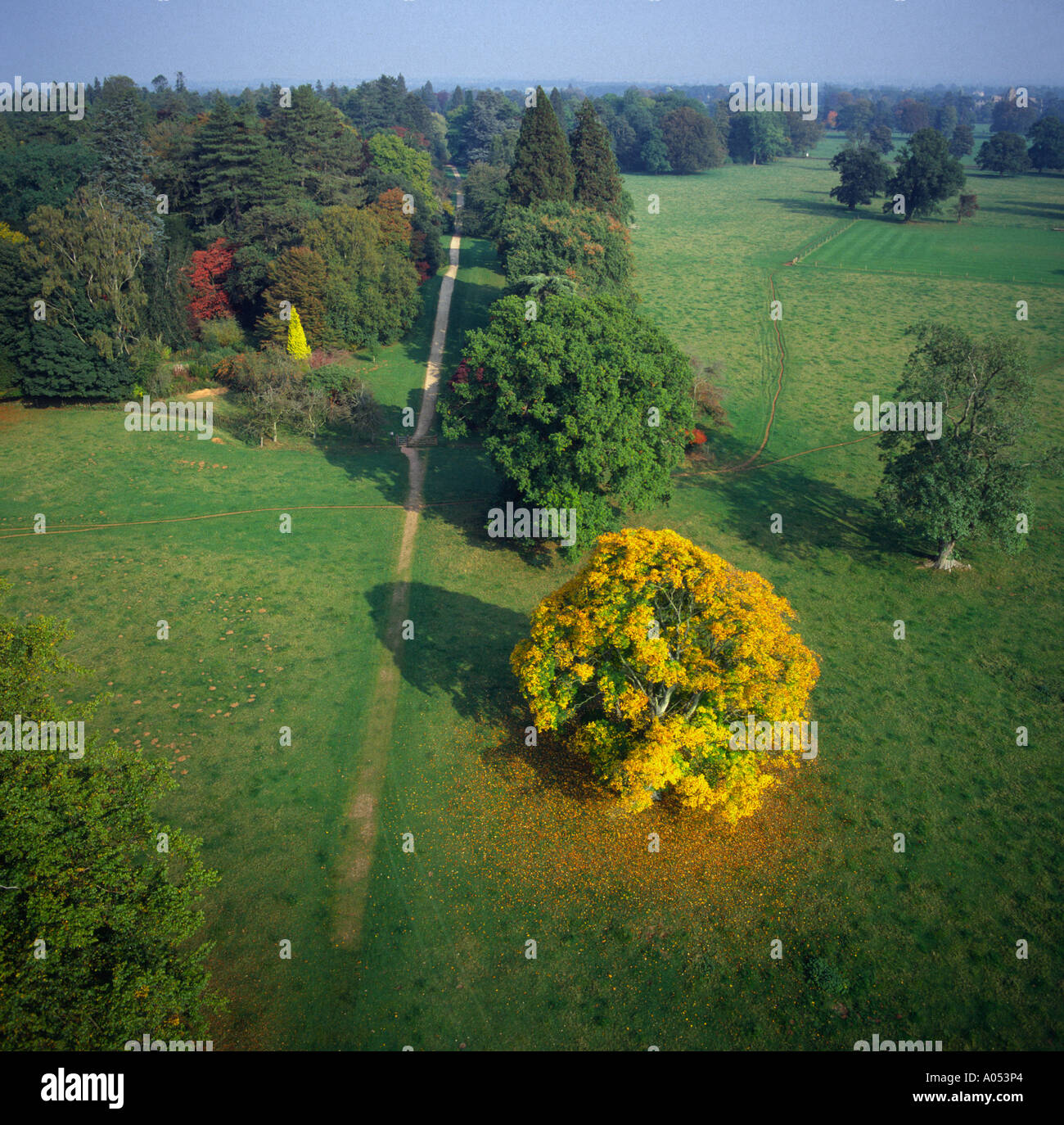Colori autunnali a Westonbirt Arboretum UK vista aerea Foto Stock
