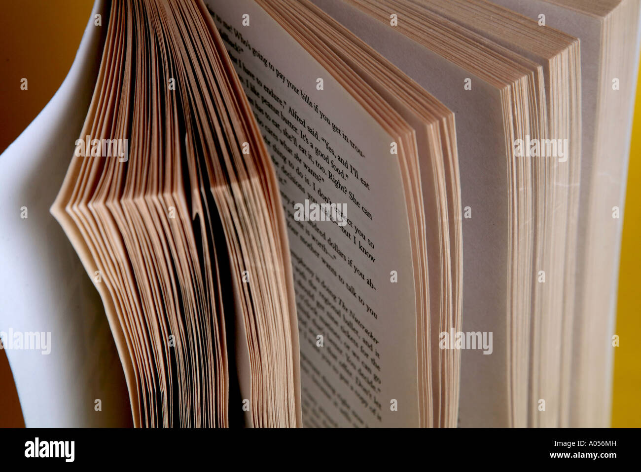 Aprire il romanzo Foto Stock