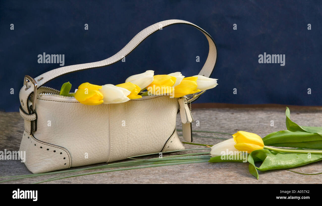 Giallo e bianco fiori resto in borsa Foto Stock