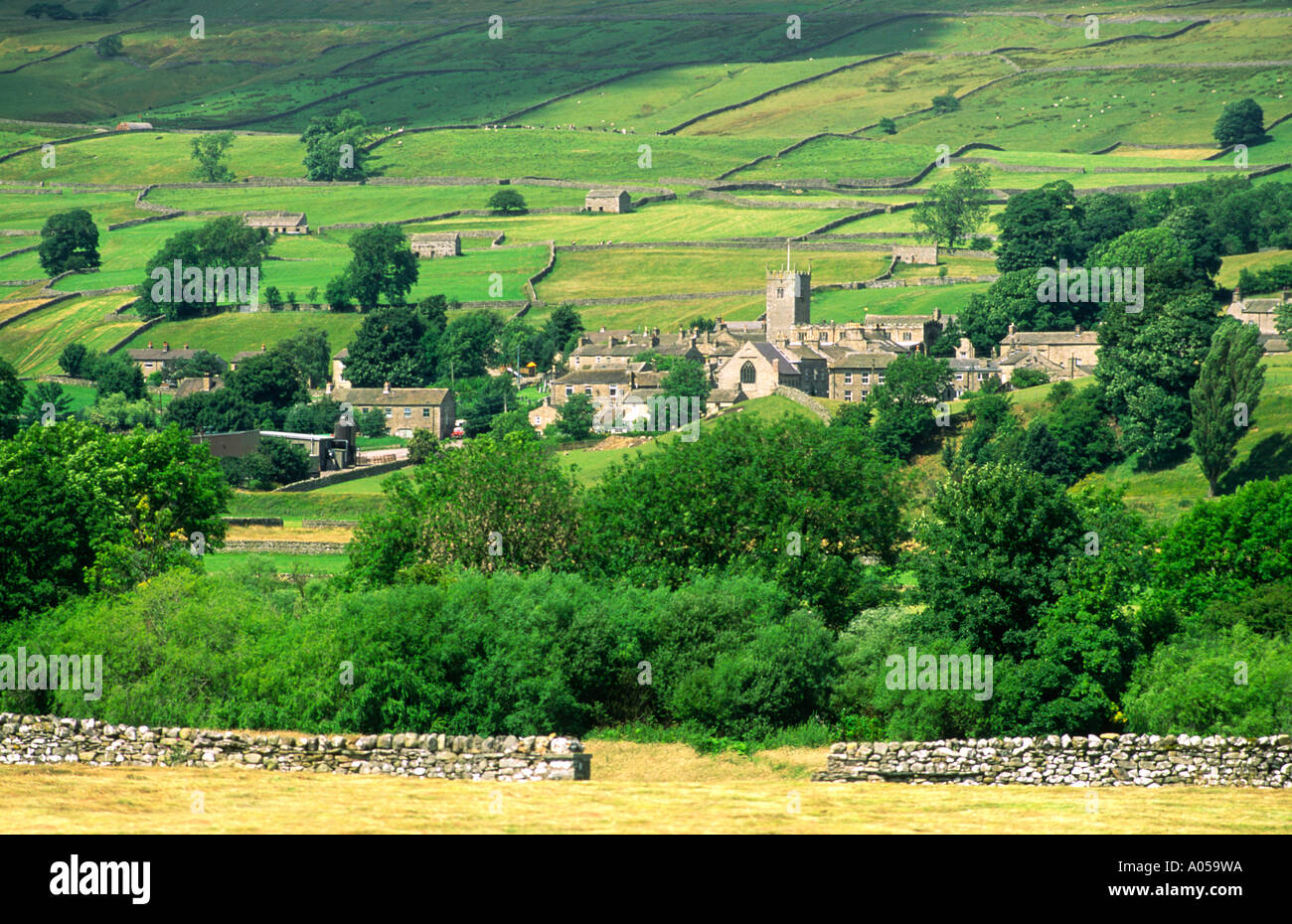 Il villaggio di Askrigg in tipico Yorkshire Dales National Park paesaggio in Wensleydale in North Yorkshire, Inghilterra Foto Stock