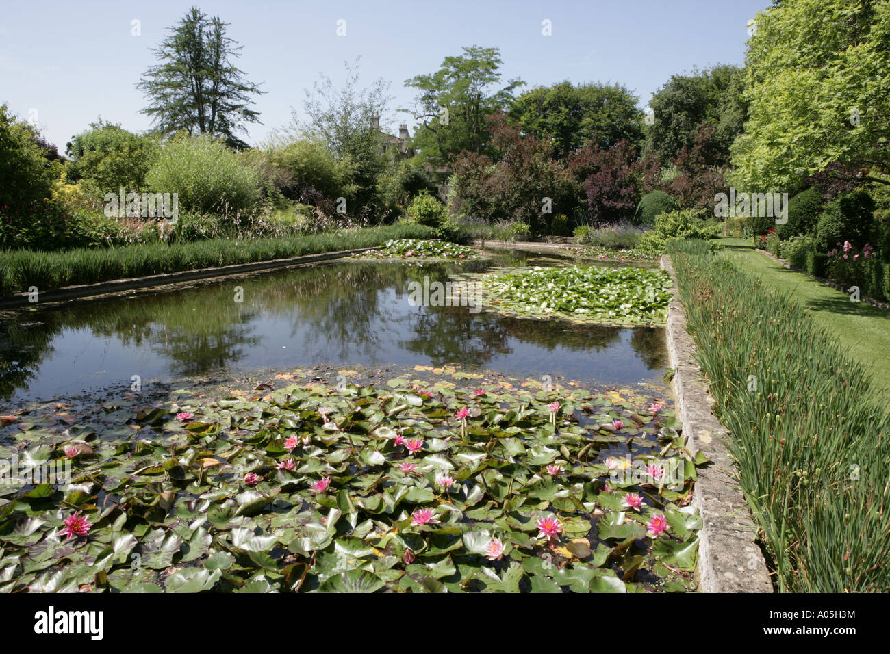 I tribunali giardini a Holt deliziosa e molto Inglese, l'esempio e lo stile è molto migliore. Foto Stock