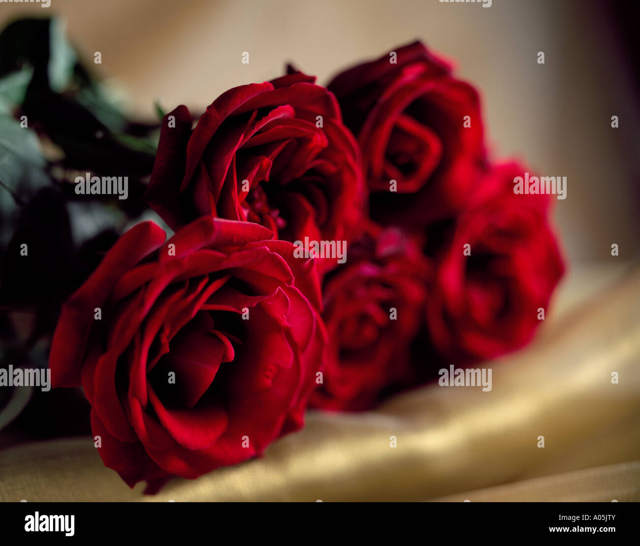 Un mazzo di rose rosse su alcuni seta dorata Foto Stock
