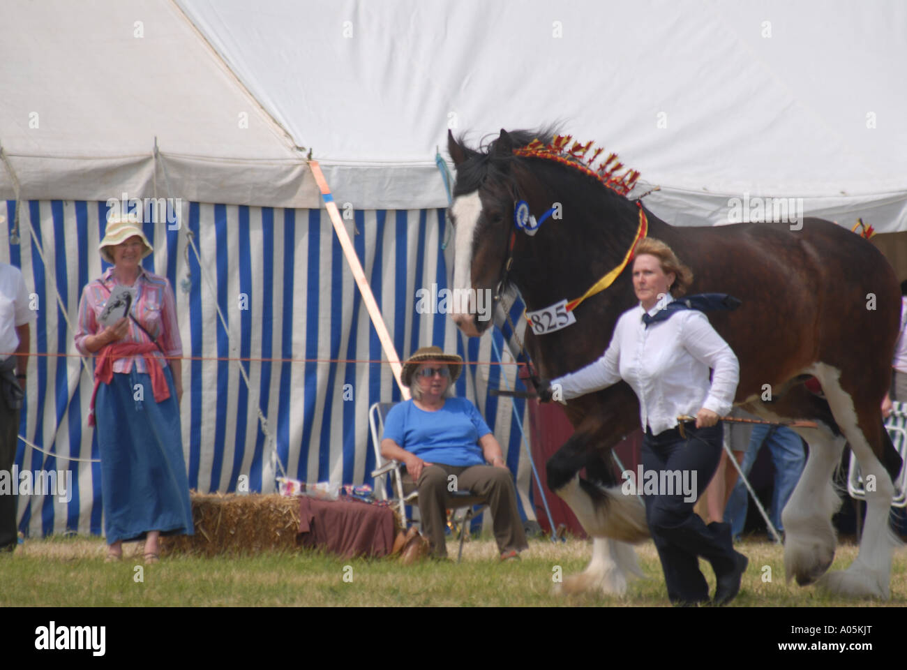 Horse Show agricoli Caernarfon North West Wales Foto Stock