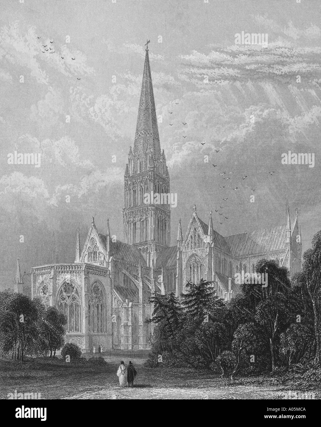La Cattedrale di Salisbury Sud Est Visualizza pubblicato 1836 disegnata da J Archer incisi da H le chiocciole Foto Stock