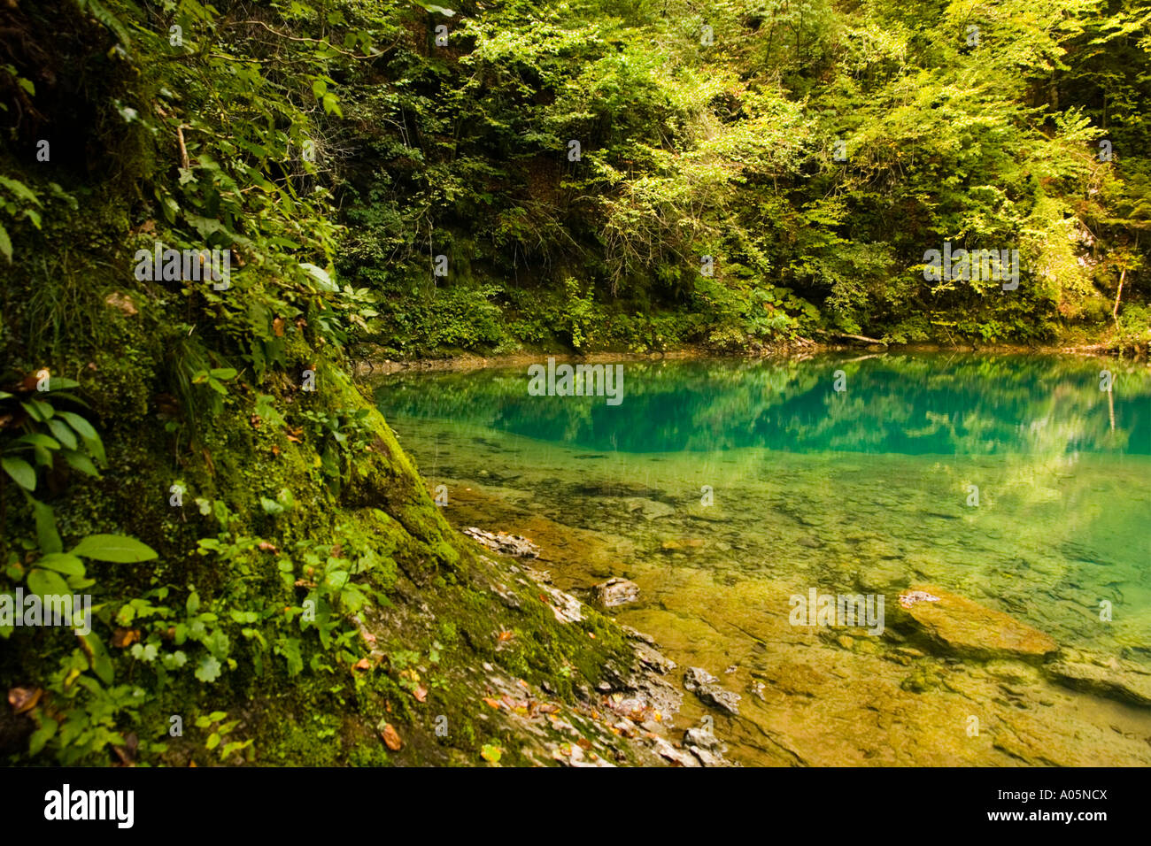 Autunno nella foresta, fonte Kupa a Gorski Kotar in Croazia, Europa gloriosa Foto Stock