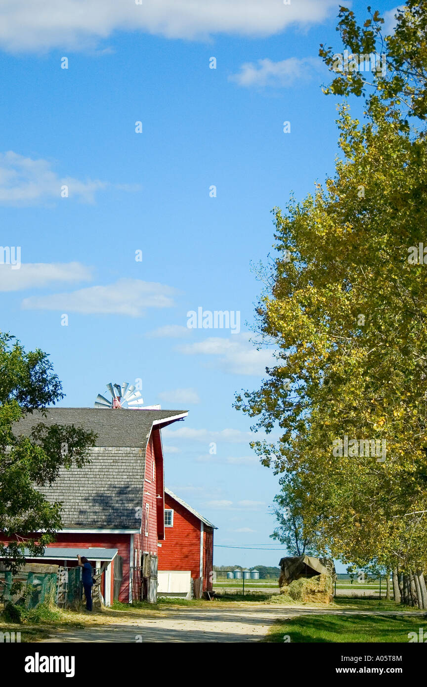Tradizionale azienda agricola a conduzione familiare,granaio rosso,il cielo sereno e alberi e un mulino a vento. Foto Stock