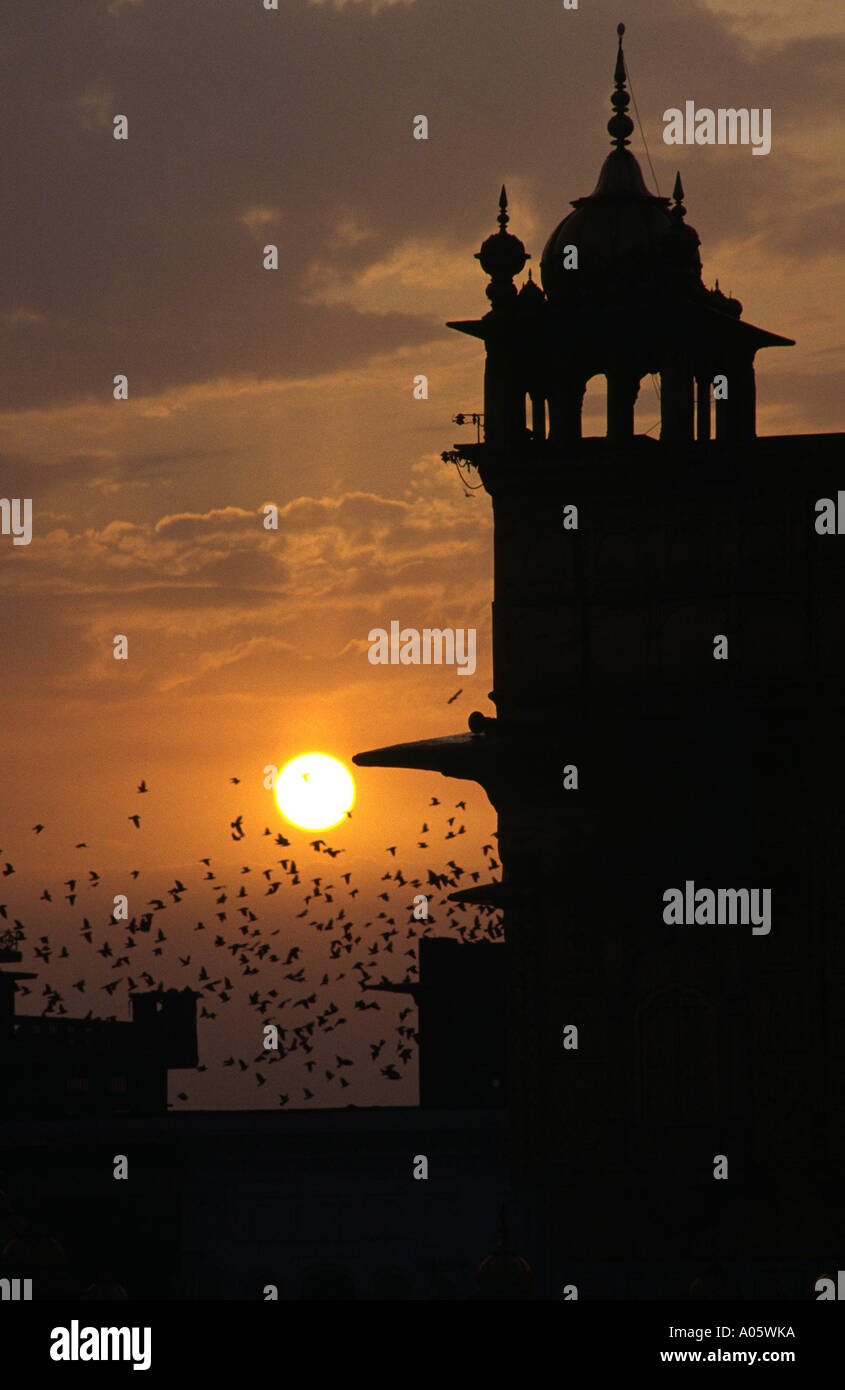 Tramonto sul tempio d'oro, il cuore del sikhismo. Amritsar Punjab, India. Foto Stock
