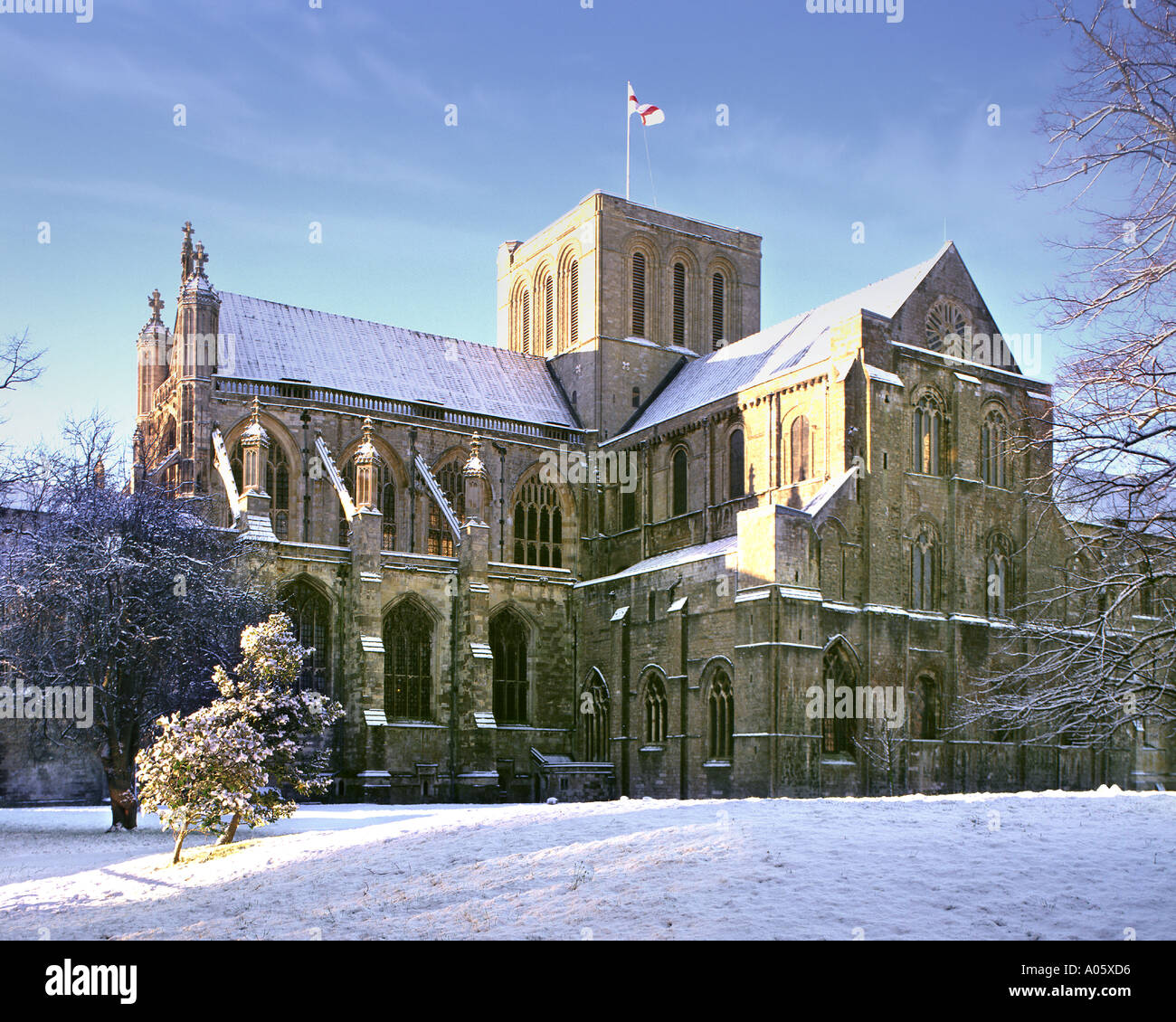 GB - HAMPSHIRE: Winchester Cathedral Foto Stock