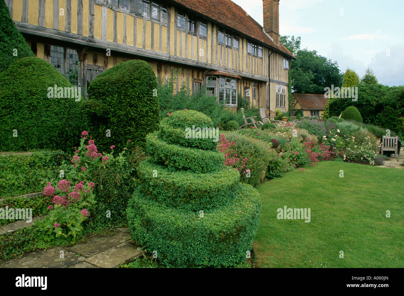 Topiaria da a spirale arbusti a bordo nella parte anteriore del grande medievale con travi di legno country house Foto Stock