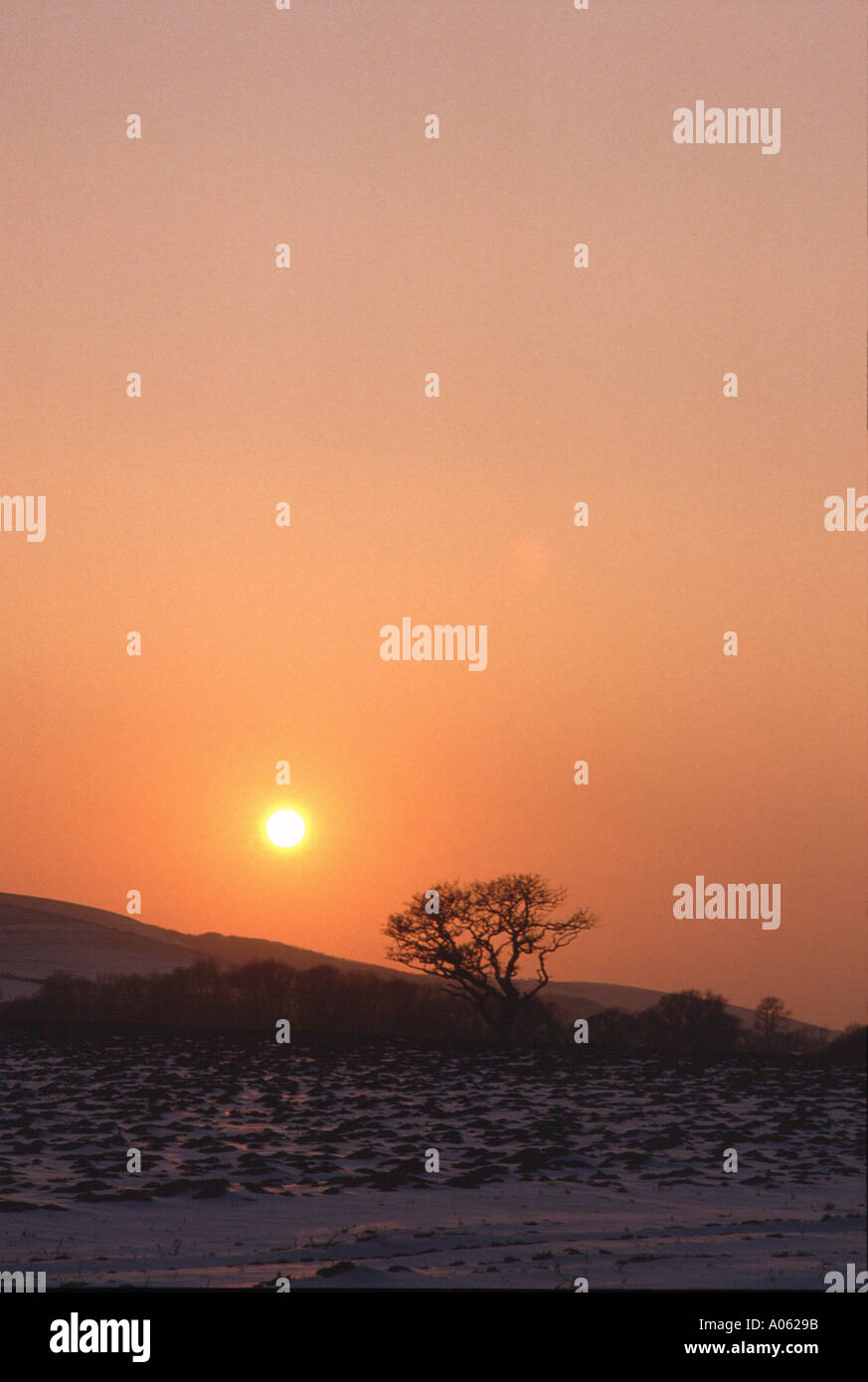Sun impostazione sulla coperta di neve Southdowns, Nr Firle, East Sussex, Inghilterra, UK, Regno Unito, Gran Bretagna, Europa Foto Stock