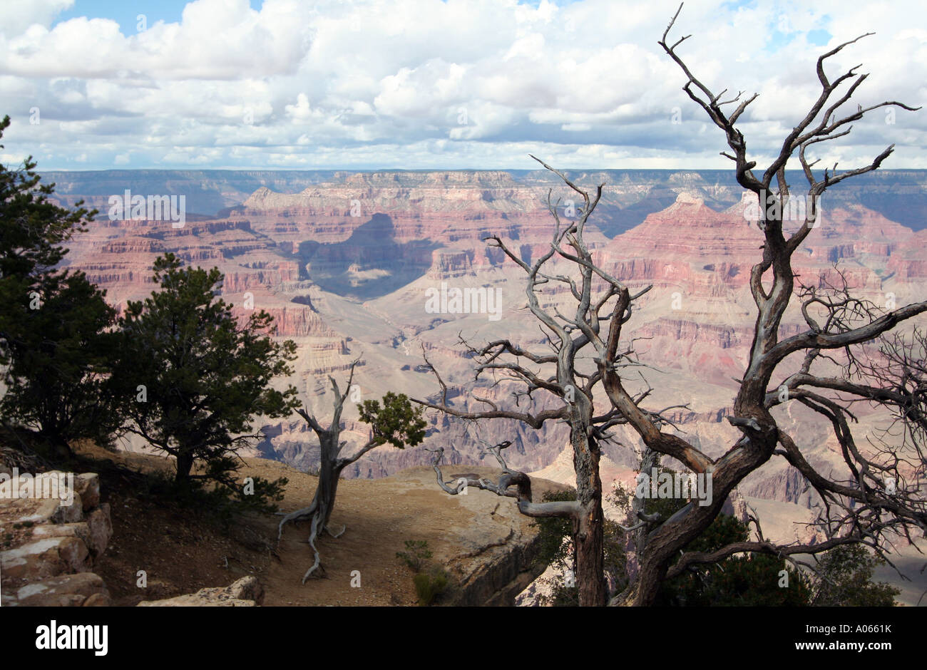 Grand Canyon Arizona Foto Stock