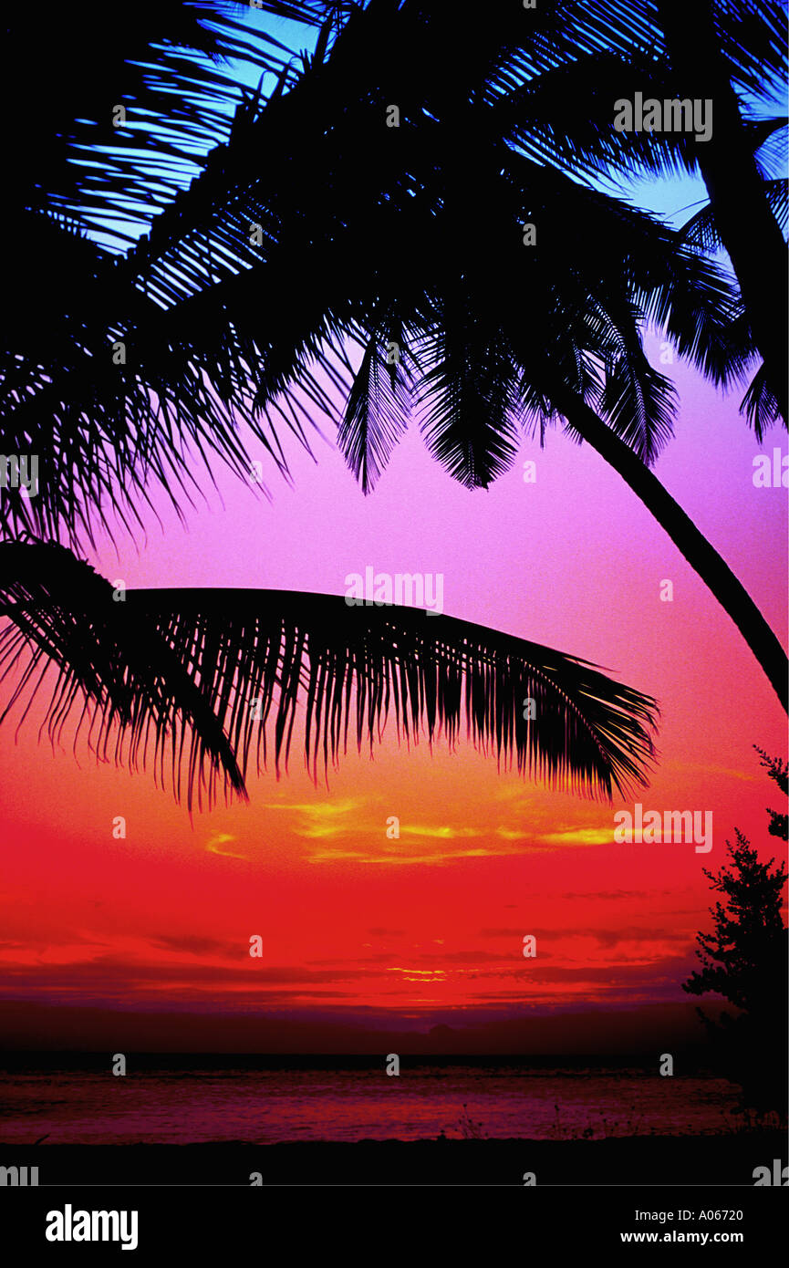 Tramonto tropicale con palme Maldive Foto Stock