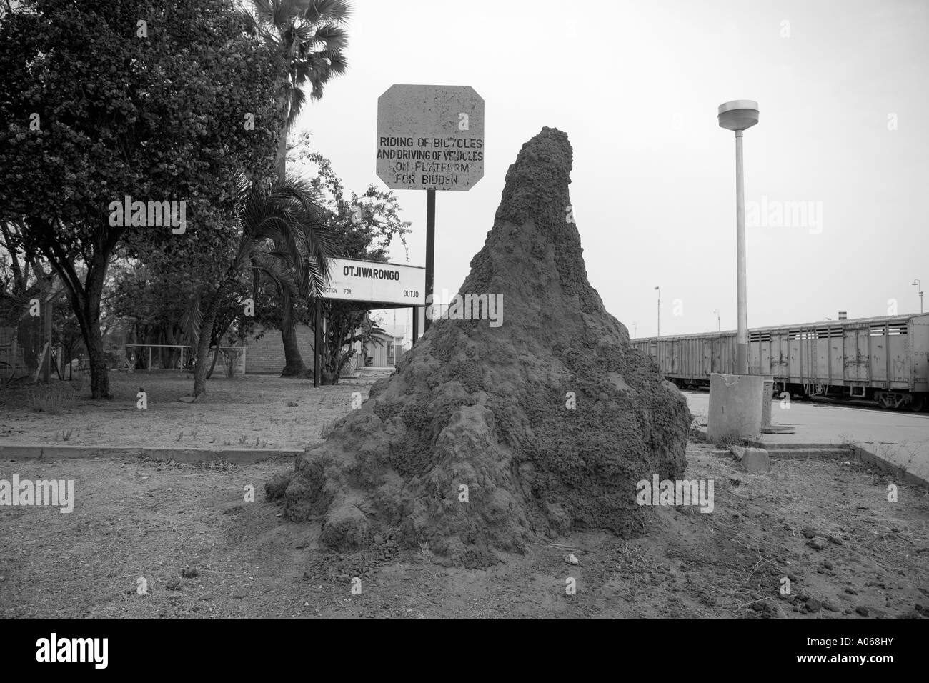 Formicaio Stazione ferroviaria Otjiwarongo Namibia Foto Stock