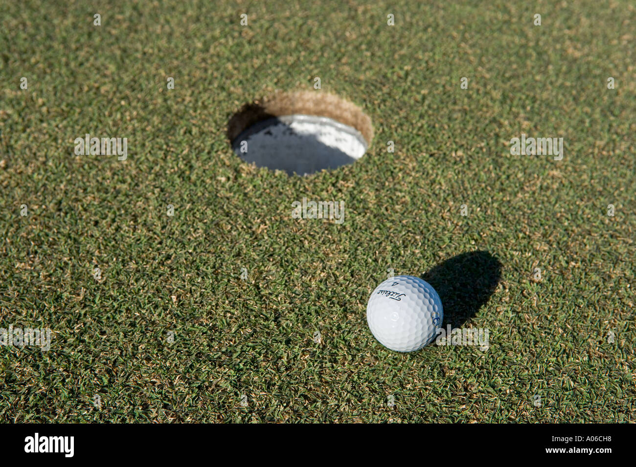 Xviii verde, Grenelefe Campo da Golf, Haines City, Central Florida Florida USA Foto Stock