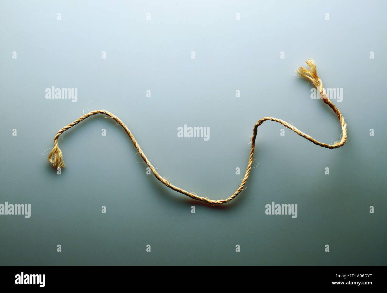 Stringa su uno sfondo grigio Foto Stock