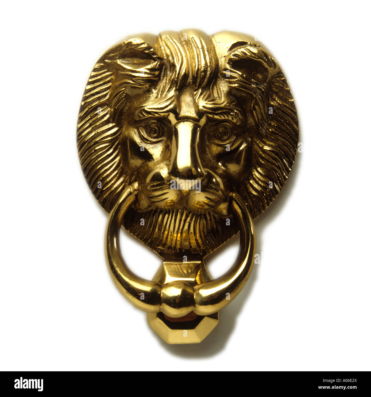 Case in ottone lucidato Lions Head knocker porta Foto Stock