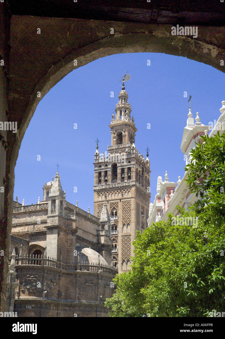Siviglia, la cattedrale e la torre Giralda Foto Stock