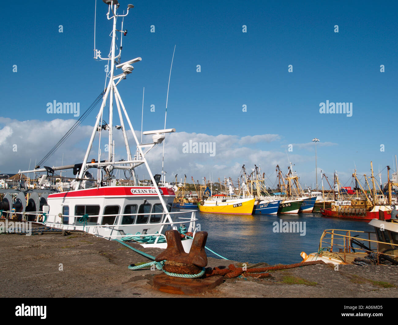 KILMORE QUAY MARINA con commerciale ormeggiate barche da pesca KILMORE QUAY 'Co Wexford' Eire Foto Stock