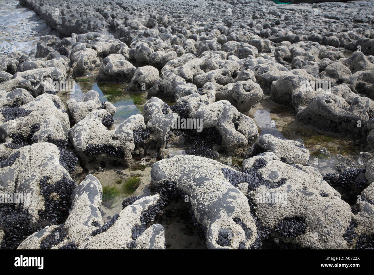 Tra la zona di marea Fanore beach County Clare Irlanda Foto Stock