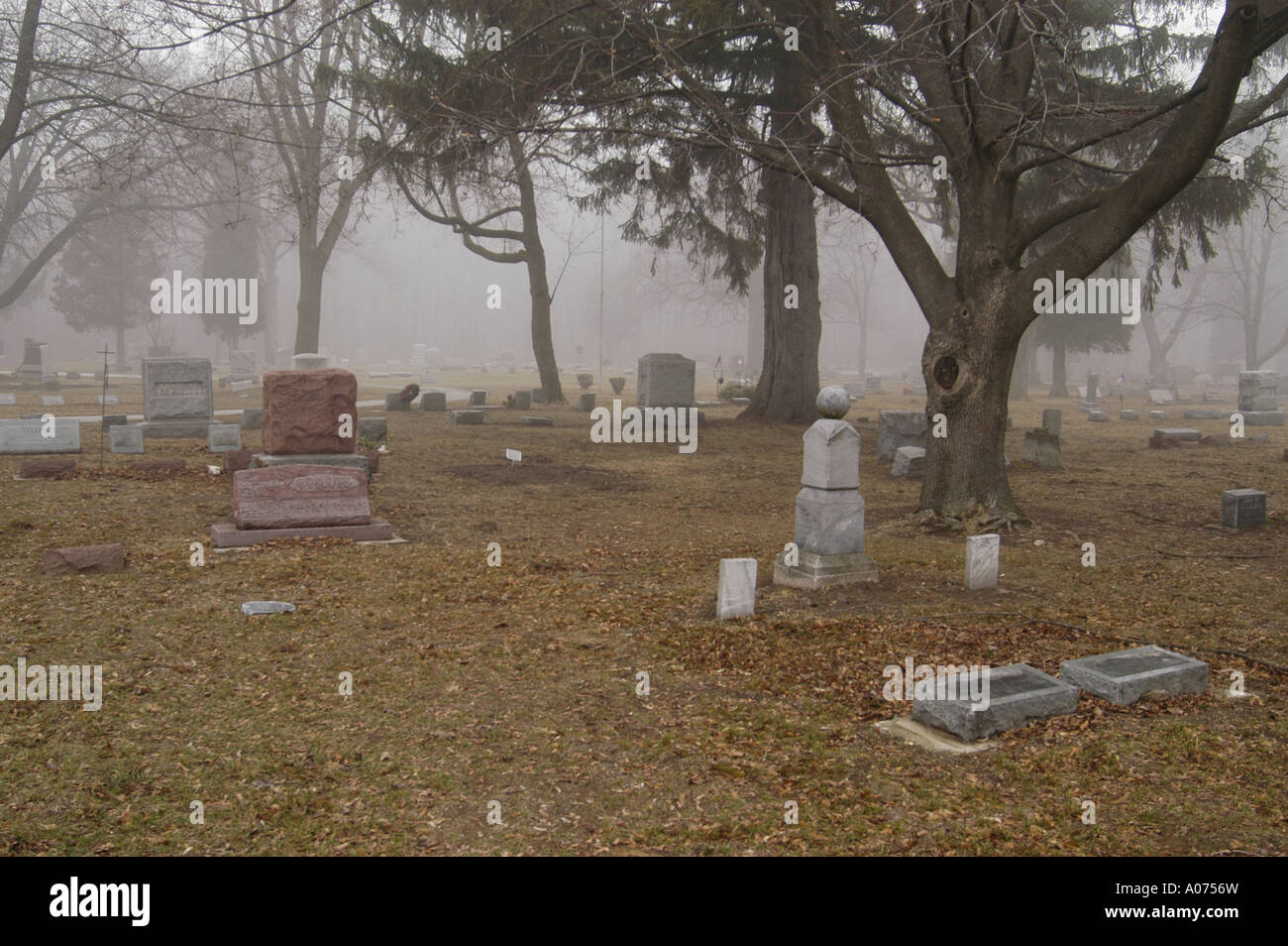P13 144 Cimitero su nebbioso giorno 3 Foto Stock