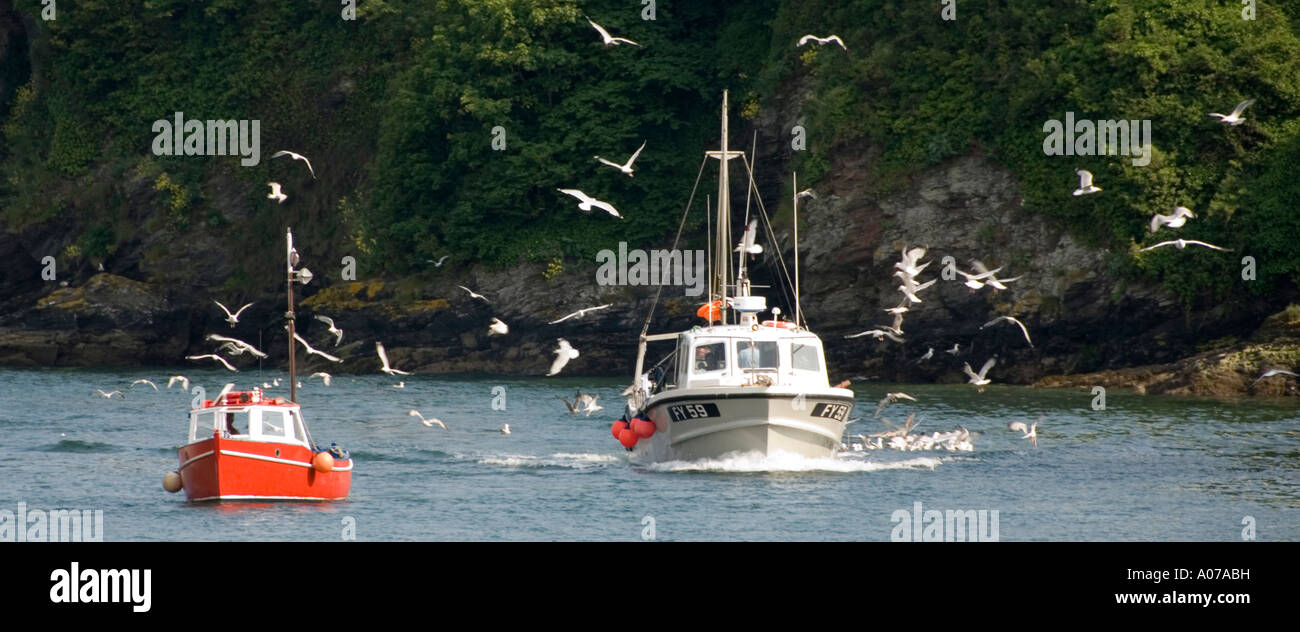 Barca da pesca torna a Looe con una scorta di gabbiani Foto Stock