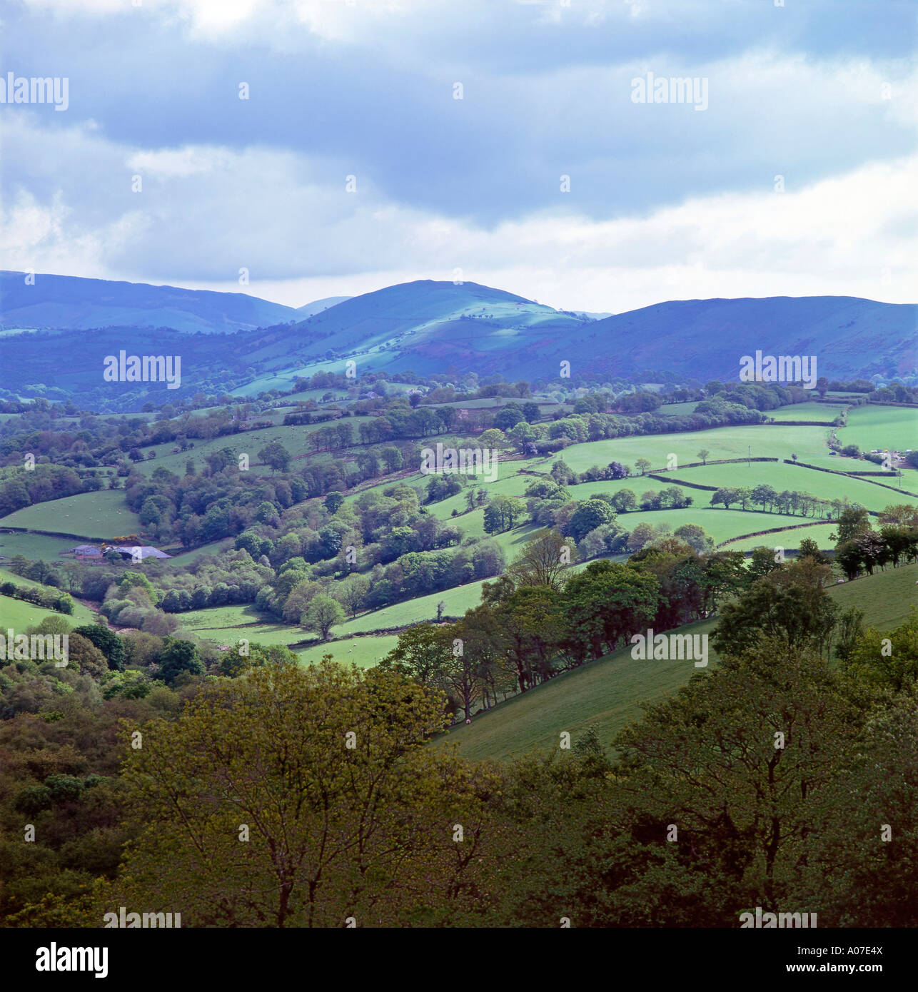 Colline Welsh Carmarthenshire nella campagna vicino a Llandovery e Llanwrda nella tarda estate Mid Wales UK KATHY DEWITT Foto Stock