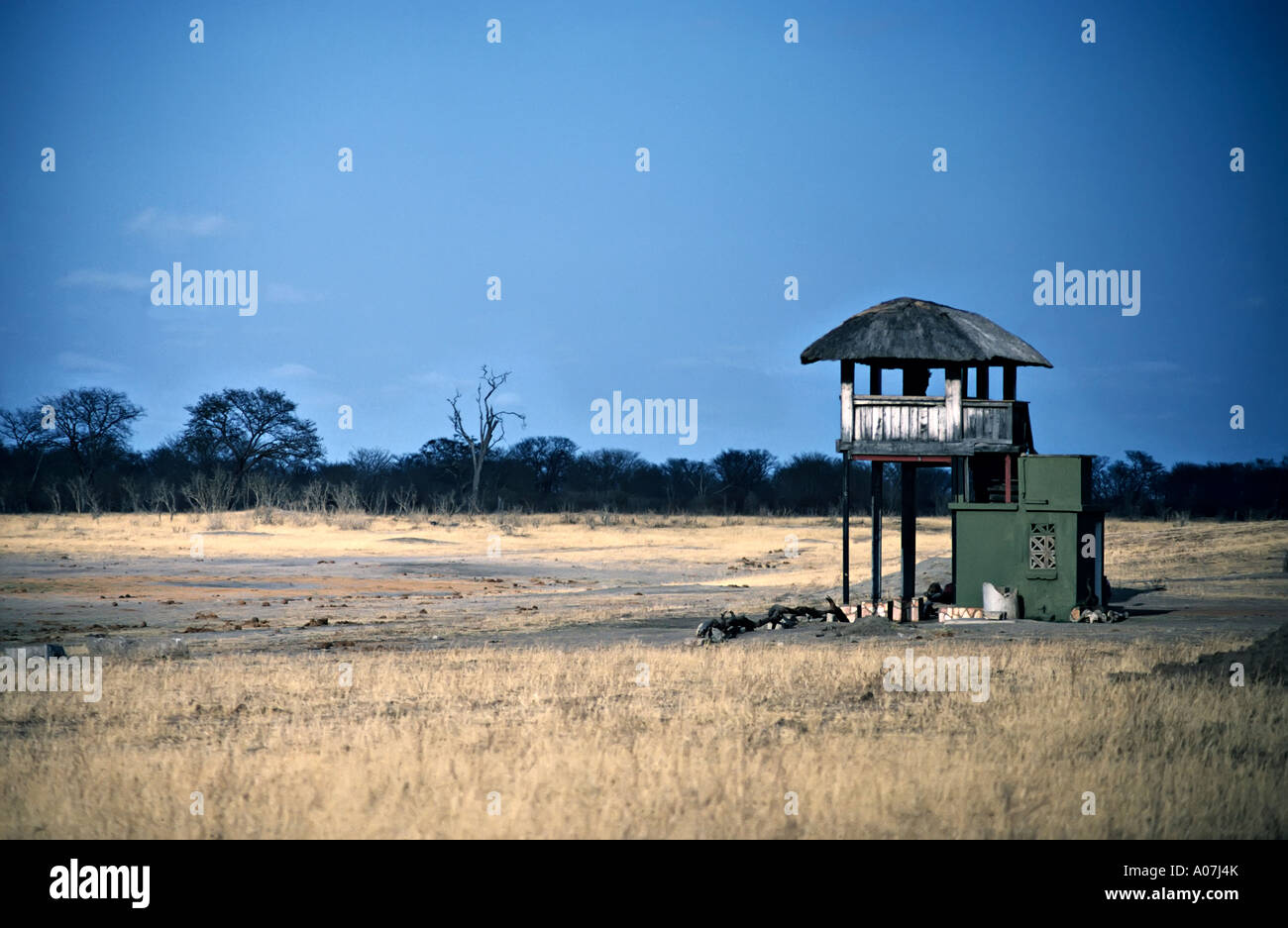 Nascondi vicino waterhole che ha quasi prosciugato nel corso di un periodo di siccità Parco Nazionale di Hwange Zimbabwe Africa Foto Stock