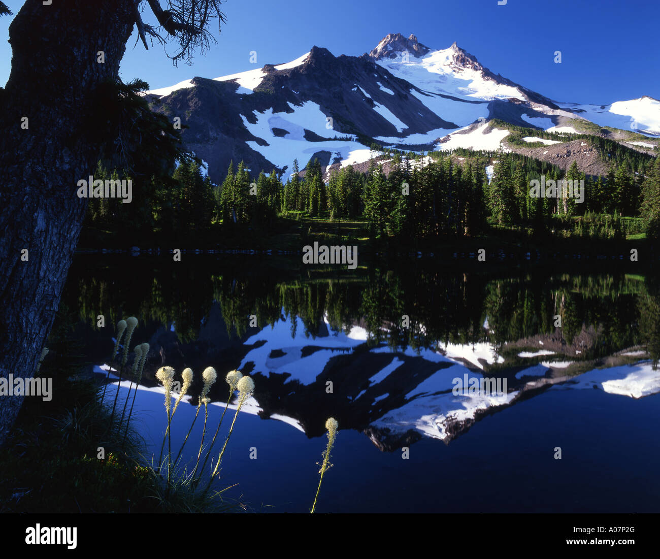 Oregon centrale Mt Jefferson e recare erba sboccia al Lago Scout. Foto Stock