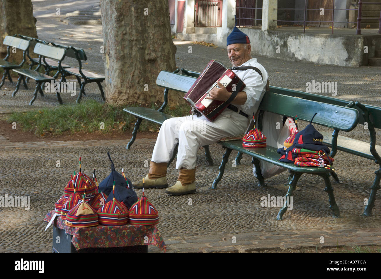 Lettore di fisarmonica, Costume regionale a monte, l'isola di Madeira Foto Stock