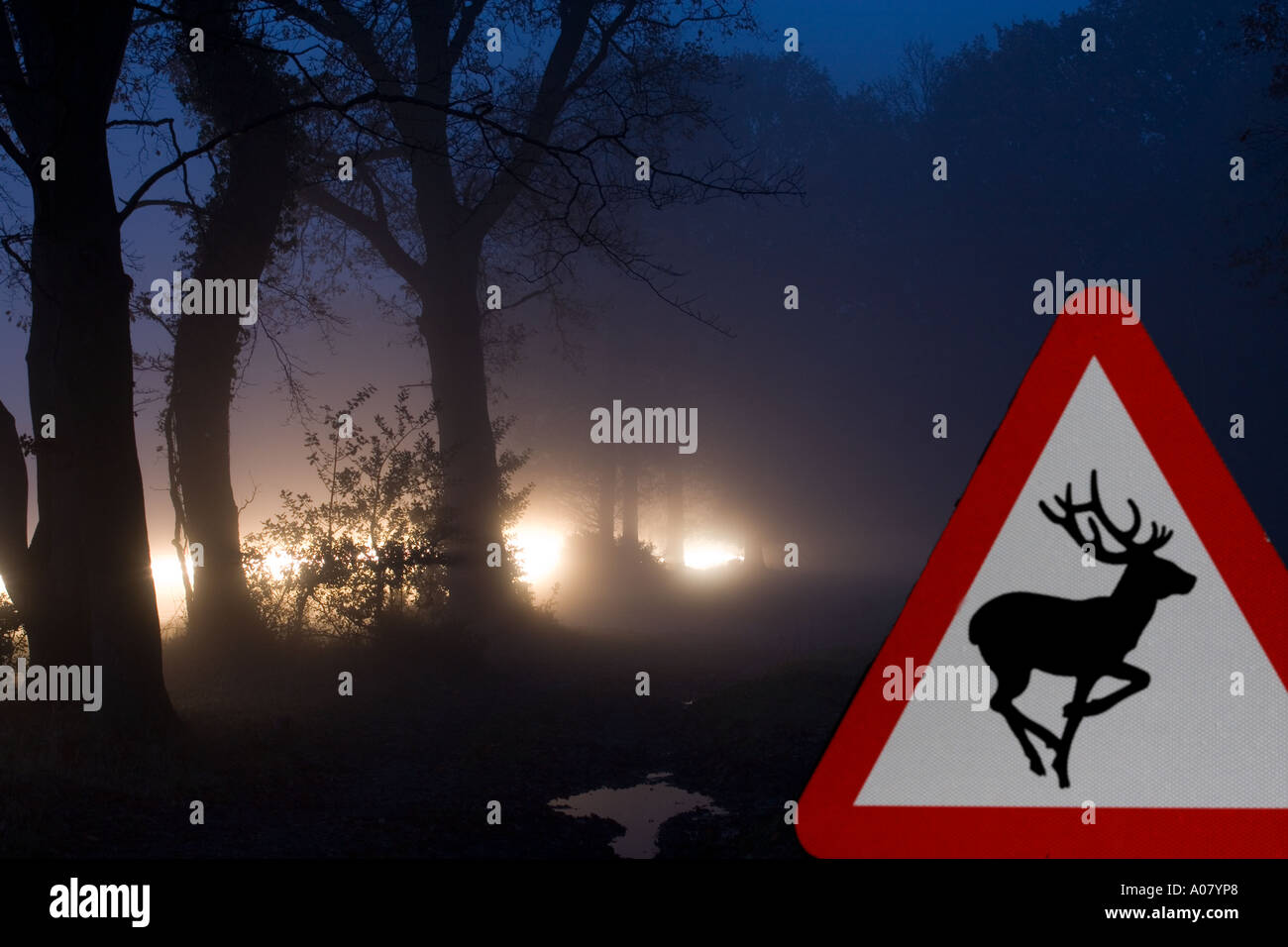 Il cervo segno di avvertimento sulla strada di campagna Foto Stock
