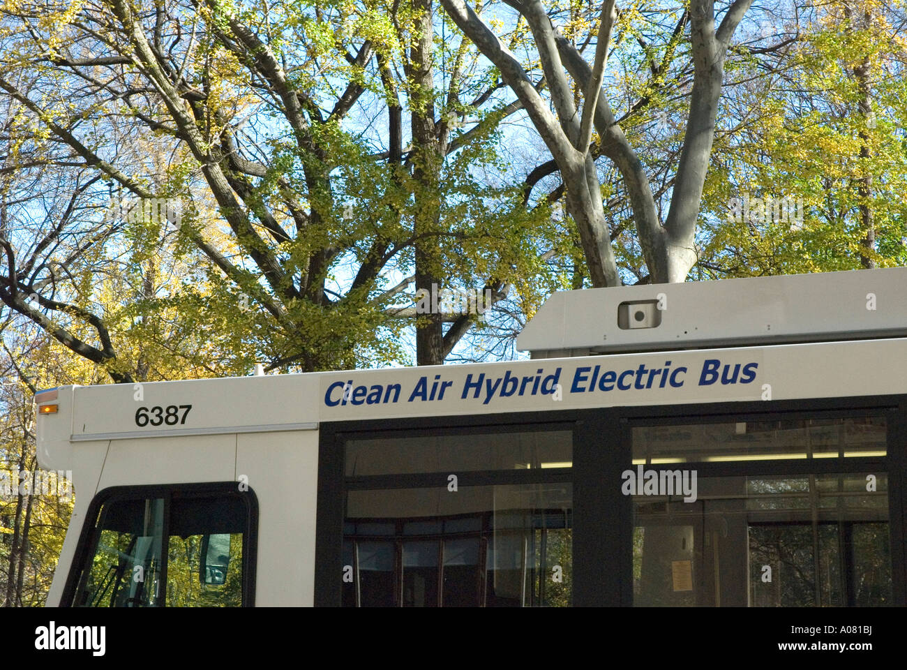 Aria pulita autobus ibridi a trazione elettrica di New York Transit Authority di New York NY USA America Foto Stock