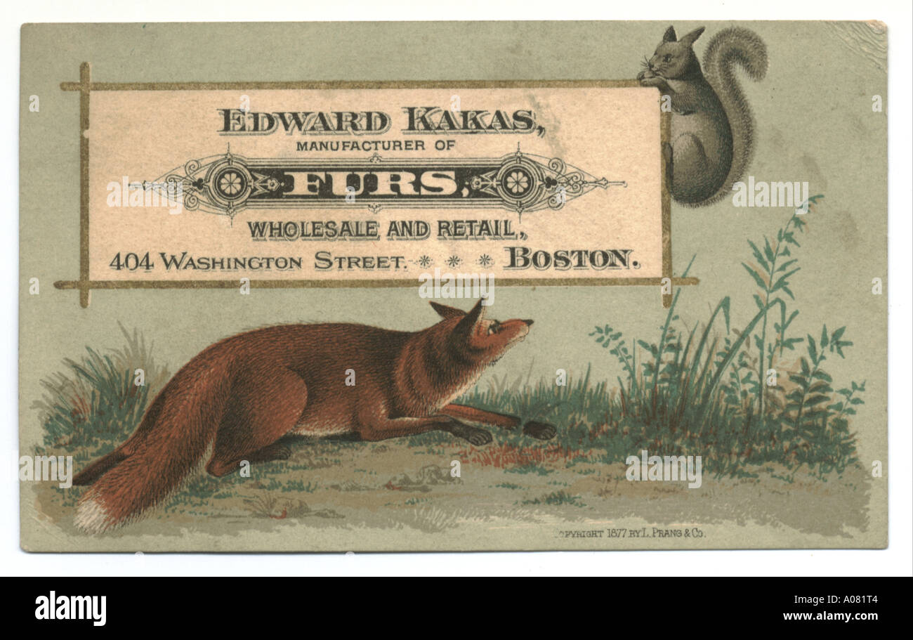 Pellicciaio, Edward Kakas la scheda commerciale 1877 Foto Stock
