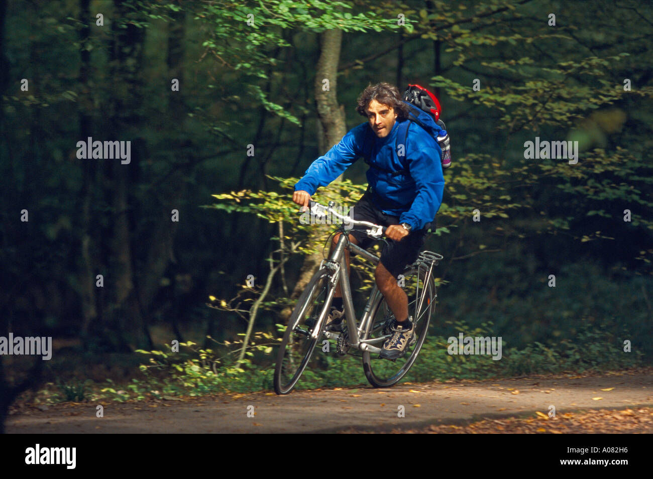 Trekkingbiker nella foresta Koeln DEU Germania Foto Stock