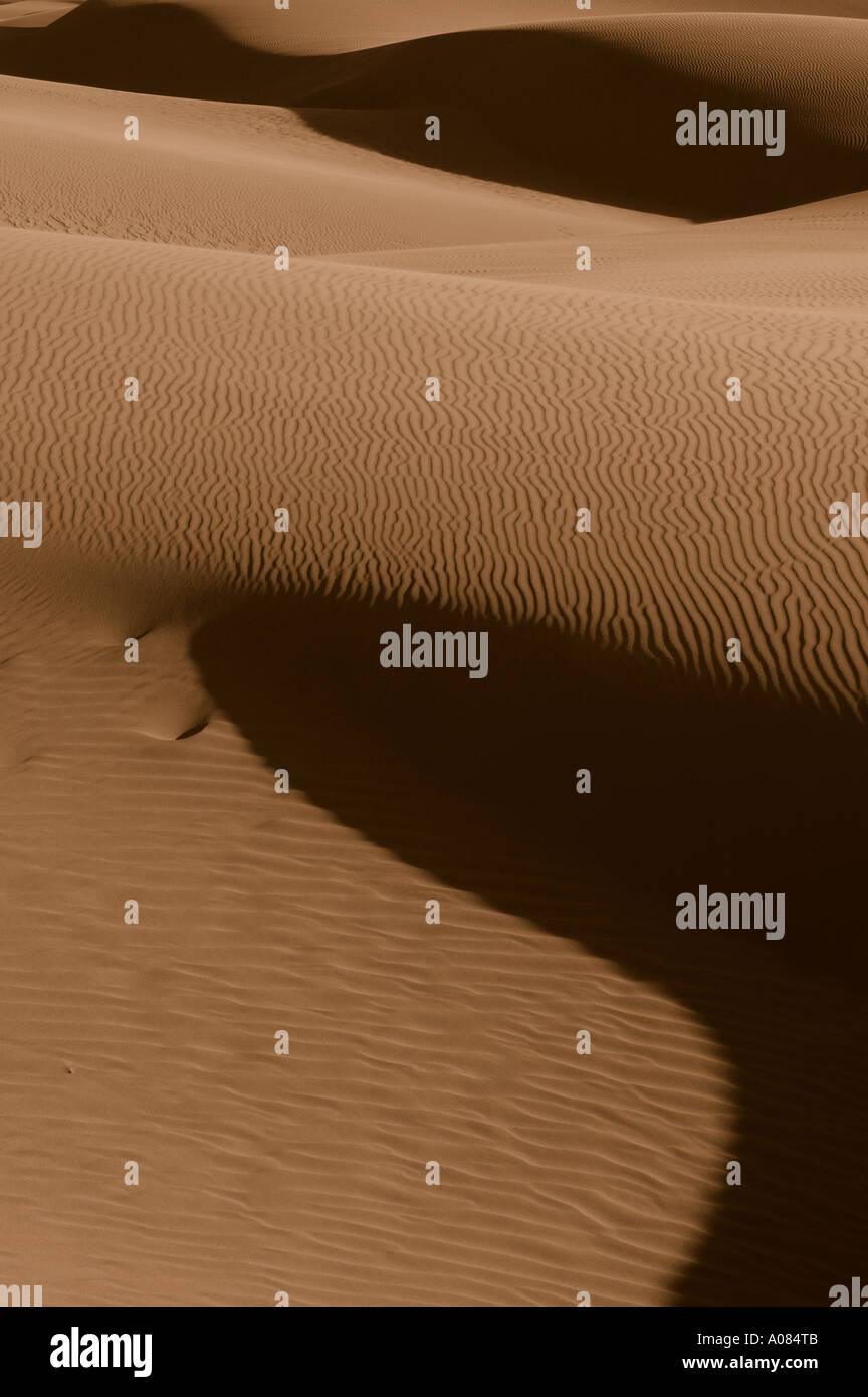 Oceano dune di sabbia Foto Stock