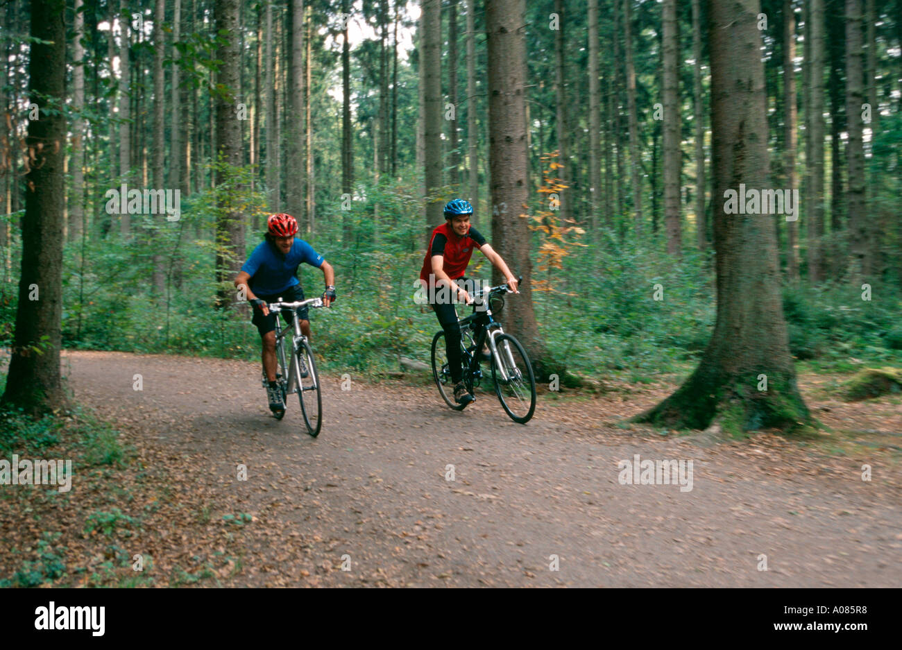 Trekkingbikers nella foresta Koeln DEU Germania Foto Stock
