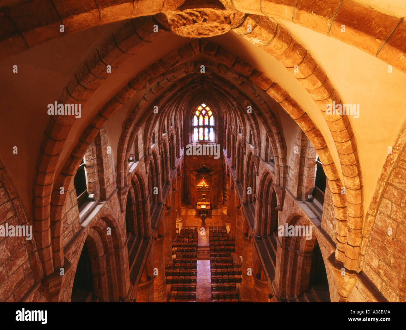 Dh St Magnus Cathedral KIRKWALL ORKNEY navata Ovest dalla centina padiglione interno cattedrale scozia orcadi vuoto all'interno del Regno Unito Foto Stock