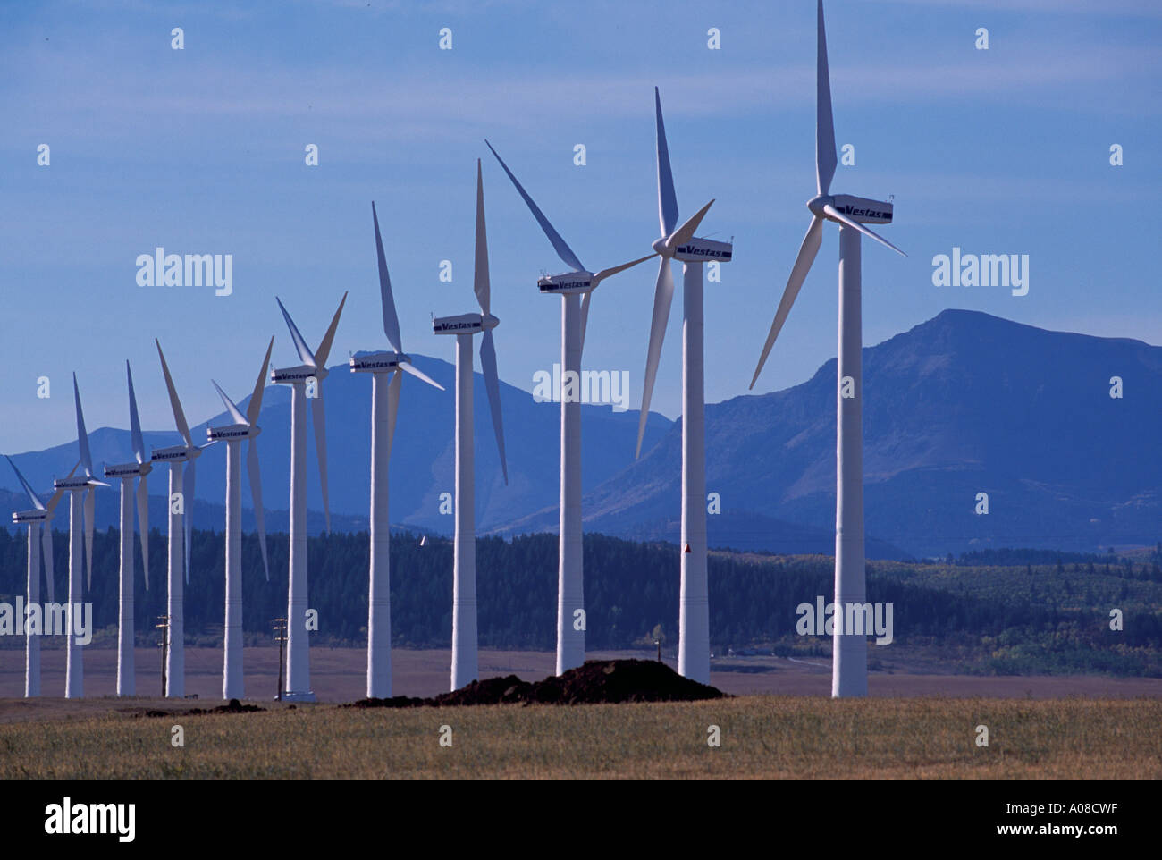 Turbine eoliche Vestas generano energia elettrica a Wind Farm in prossimità del rullo di estrazione Creek nel Canadian Rocky Mountain Foothills Southern Alberta Canada Foto Stock