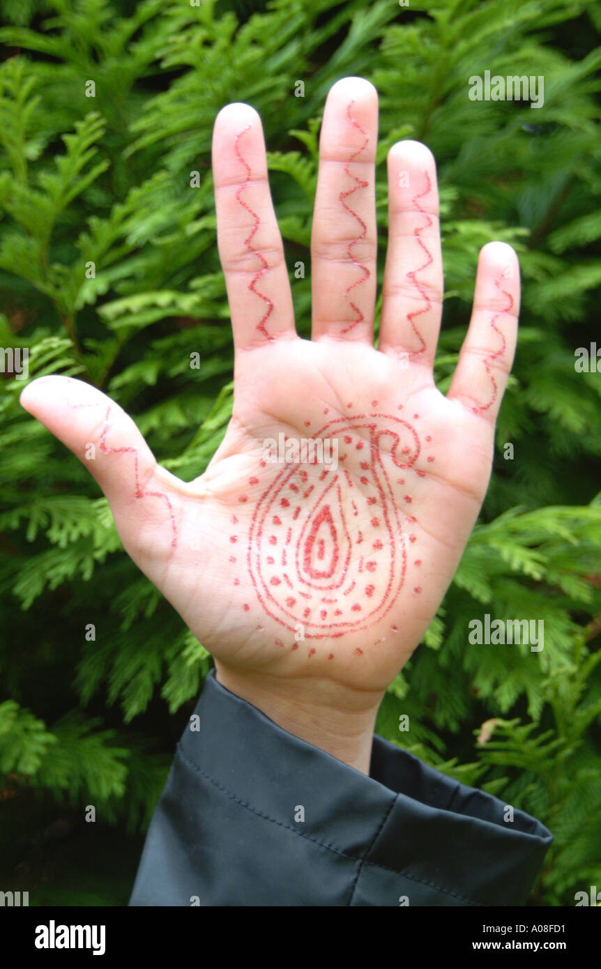 Il palmo della mano mehendi henna body art Foto Stock