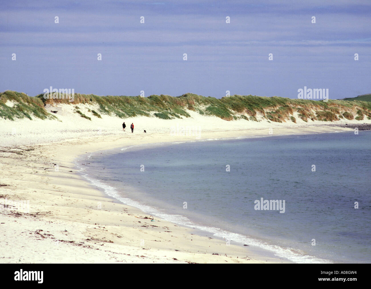 dh Sumburgh Beach SUMBURGH SHETLAND coppia camminando cane lungo bianco spiaggia di sabbia scozia scena uk Foto Stock