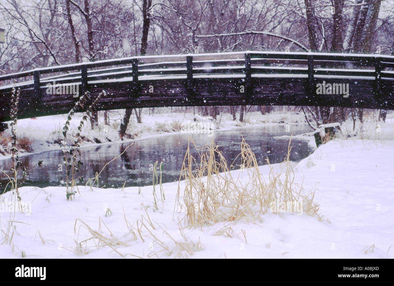 Scena invernale di Minnehaha Creek, il parco della città di Minneapolis, MN, Minnesota, Stati Uniti d'America, Stati Uniti d'America Foto Stock
