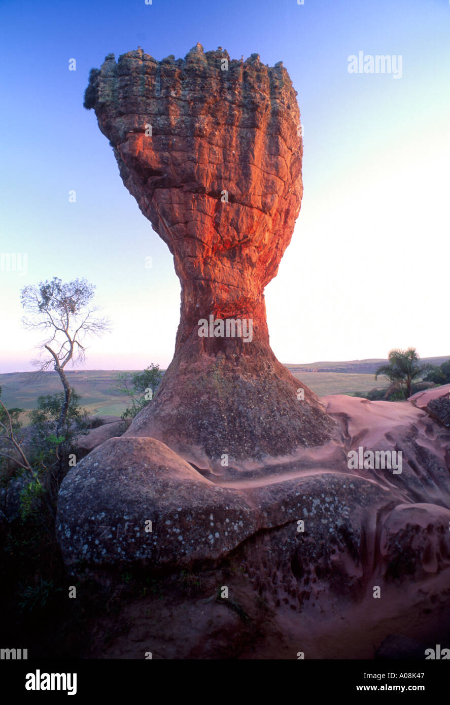 Insolita formazione rocciosa conosciuta come Taça ( Calice ), cartolina di Vila Velha parco dello stato, Stato di Parana, Brasile Foto Stock