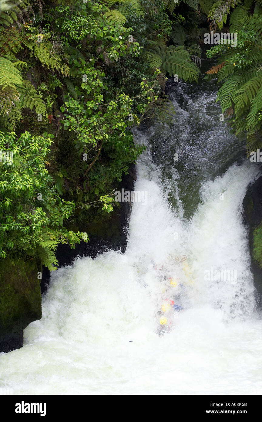 Raft Tutea s cade Okere fiume vicino a Rotorua Nuova Zelanda Foto Stock
