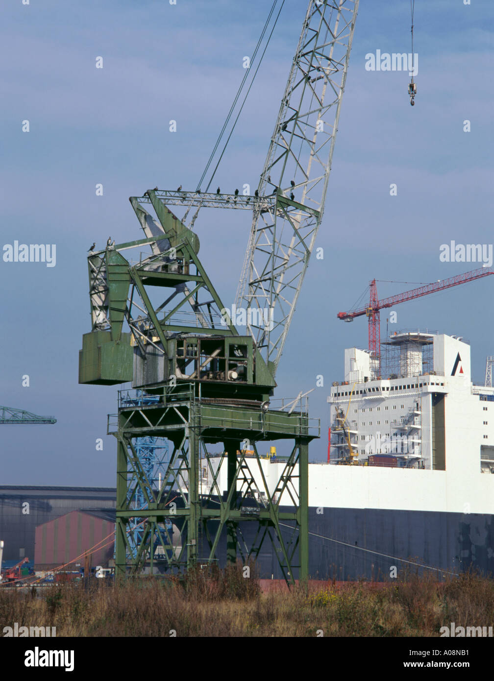 Il cormorano su un lungomare abbandonati gru, hebburn, tyneside, tyne and wear, Inghilterra, Regno Unito. Foto Stock